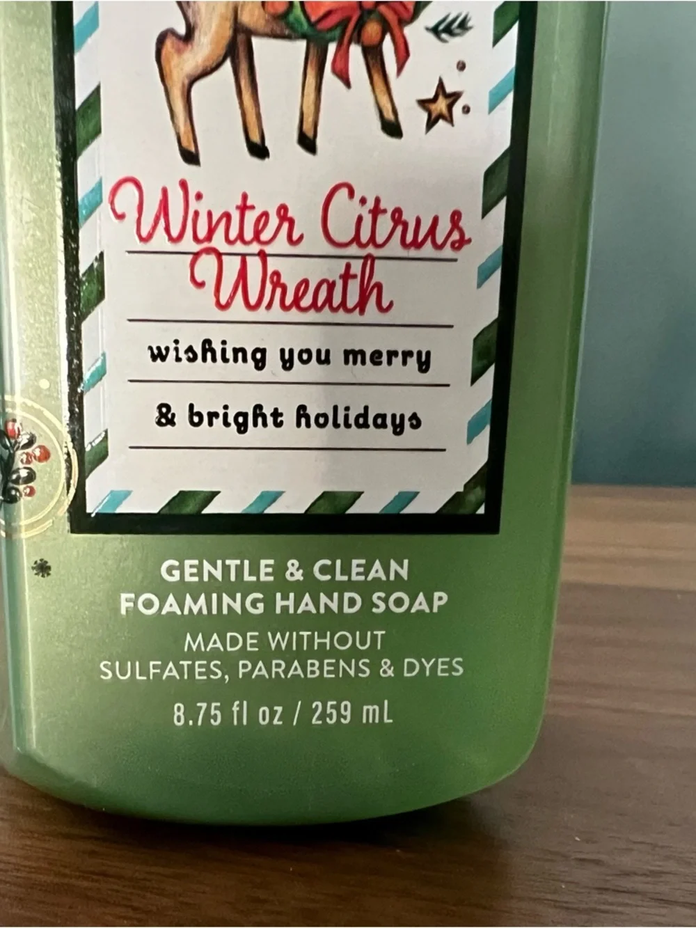 Bath & Body Works Winter Citrus Wreath Foaming Hand Soap - Green